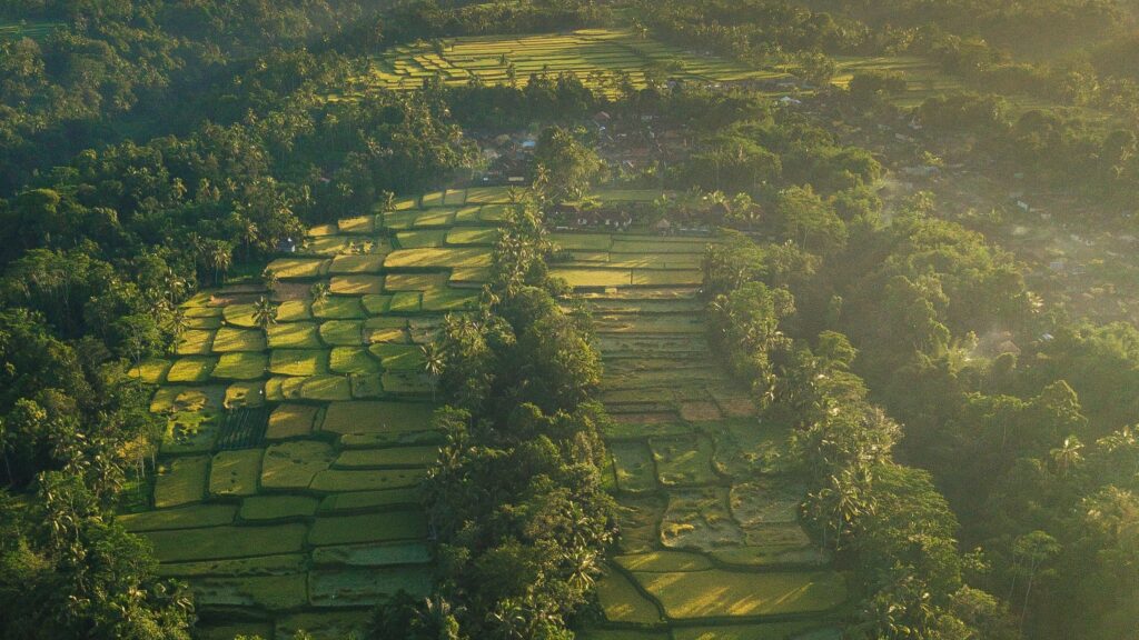 Construindo um futuro mais verde na mineração
