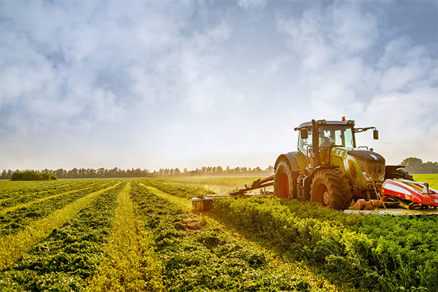 Agro Indústria